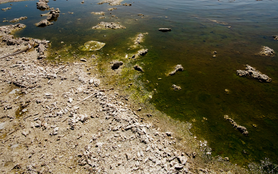 land and water contamination