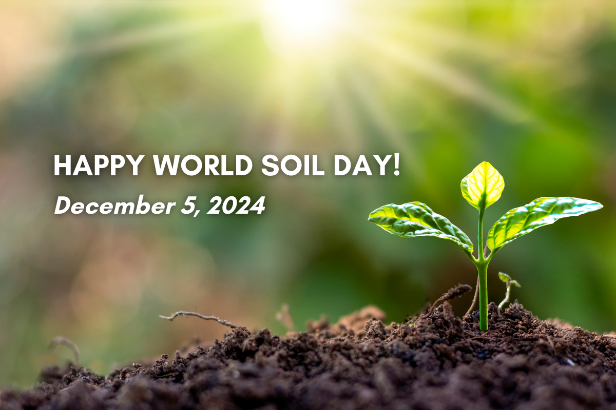 world soil day educational blog banner